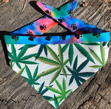 Load image into Gallery viewer, Dog Bandana MARY JANE FASHION For Your Mellow Friend!