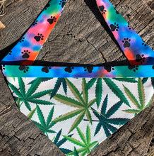 Load image into Gallery viewer, Dog Bandana MARY JANE FASHION For Your Mellow Friend!
