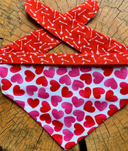 Load image into Gallery viewer, Dog Bandana SHOW THE LOVE Heartfelt Bandana for your Very Best Friend!