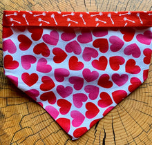 Load image into Gallery viewer, Dog Bandana SHOW THE LOVE Heartfelt Bandana for your Very Best Friend!