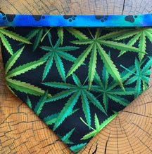 Load image into Gallery viewer, Dog Bandana MARY JANE FASHION For Your Mellow Friend!