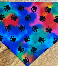 Load image into Gallery viewer, Dog Bandana SASQUATCH ARE REAL For your Really Curious Pup!