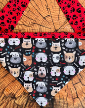Load image into Gallery viewer, Dog Bandana CUTIES Aren't ALL Dogs Cute?
