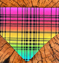 Load image into Gallery viewer, Dog Bandana RAINBOW SPIDERWEB Colorful Halloween Fun for your Little Spook