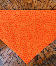Load image into Gallery viewer, Dog Bandana SQUIRREL PATROL the PERFECT Bandana for your critter chaser!