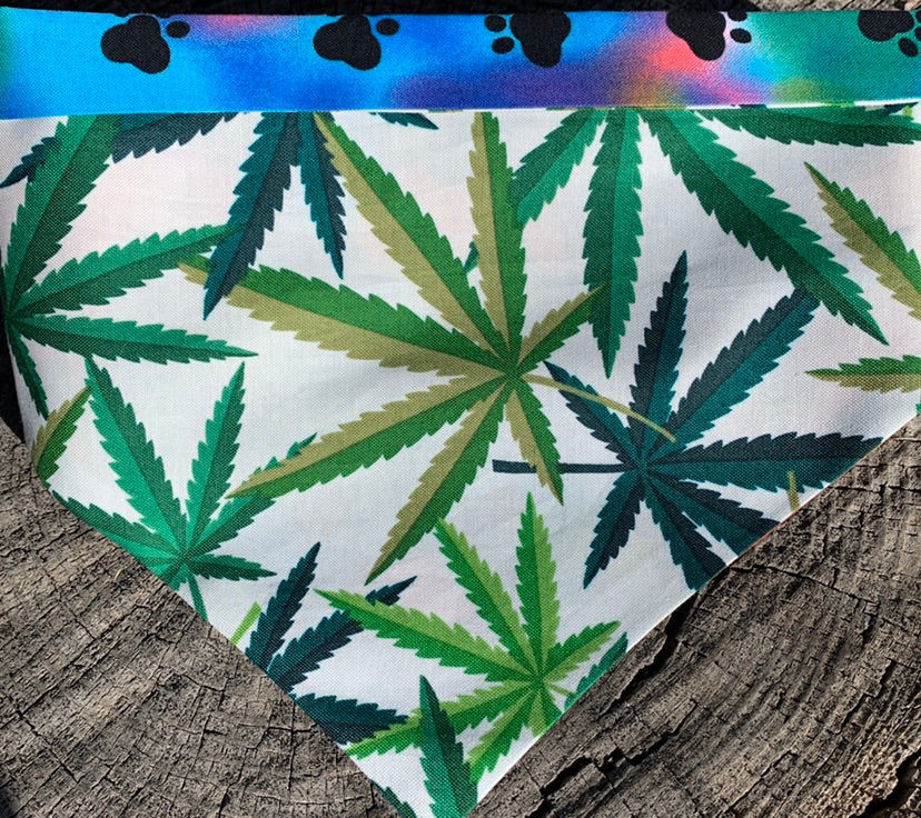 Dog Bandana MARY JANE FASHION For Your Mellow Friend!