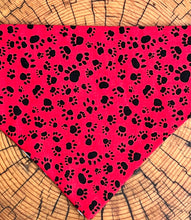 Load image into Gallery viewer, Dog Bandana CUTIES Aren&#39;t ALL  Dogs Cute?
